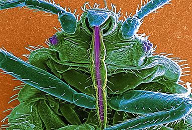 《女神异闻录3：Reload》发布荒垣真次郎角色PV